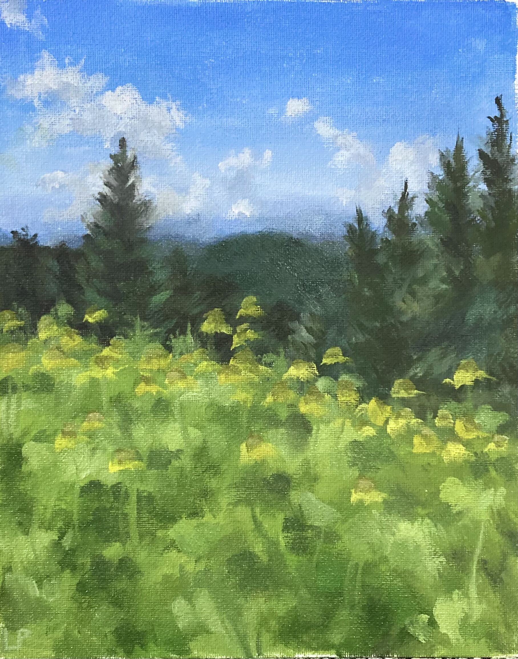 "Clingman's Dome" Oil on Canvas, 2025